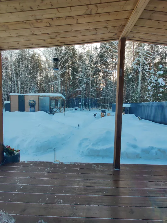 Домик с баней в лесу