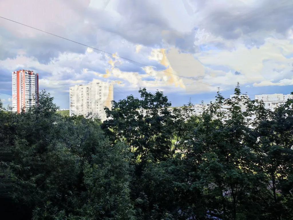 Уютная квартира у леса