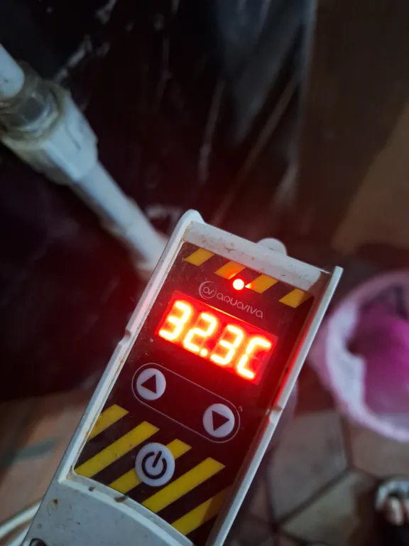 Дом с круглогодичным тёплым бассейном