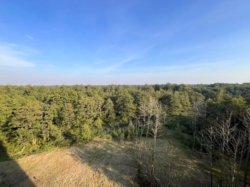 2х комнатные апартаменты рядом с морем с видом на лес