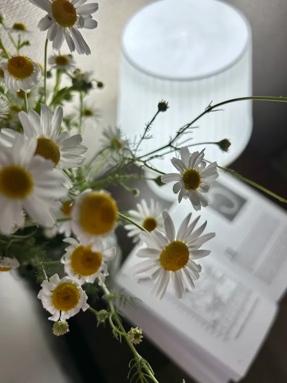 Уютная евродвушка в ЖК  «Рождественский» ждёт вас!