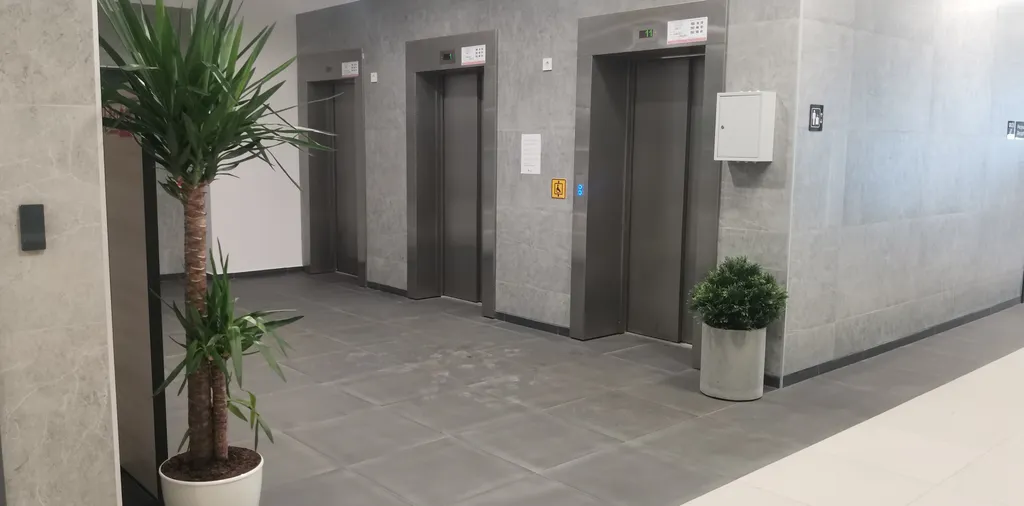 Квартира Квартира Новогоднее настроение — Санкт-Петербург