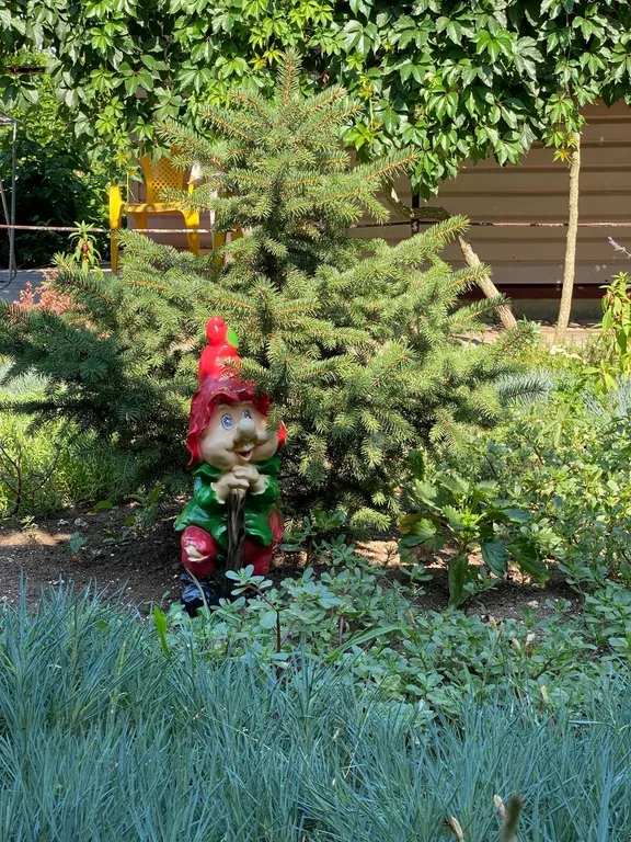 Номер стандарт