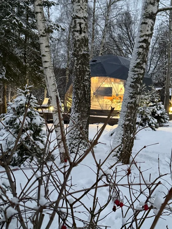 Новая сфера для глэмпинга Бёрд&Self vibe с дизайнерским интерьером