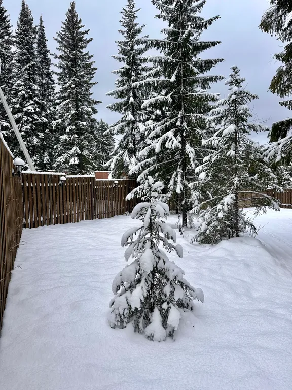 A-frame на Горе Белой