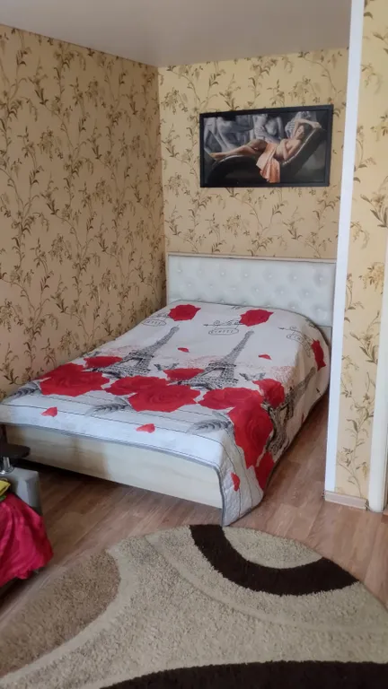 Квартира Сдаю однушку в новостройке - диван и кровать. Ждем вас. — аренда посуточно в Балашов