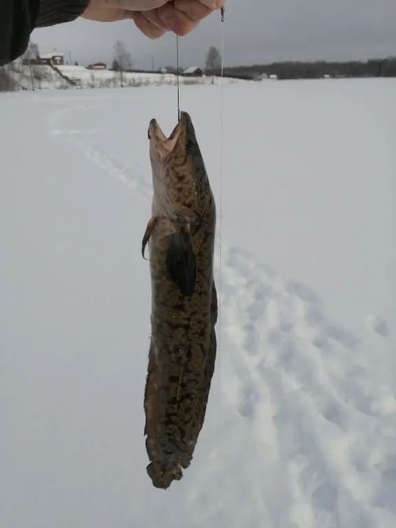 Коттедж Домик на Святозере — Петрозаводск