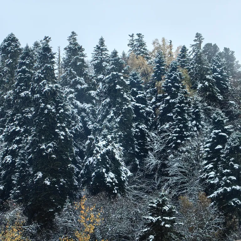 Уютный дом со всеми удобствами для большой компании у парка Теснины