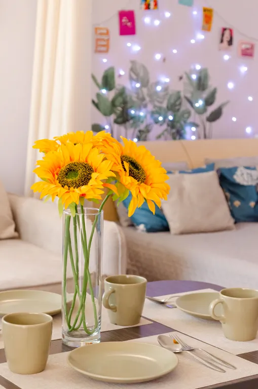 Квартира Уютная квартира с видом на Енисей — Красноярск