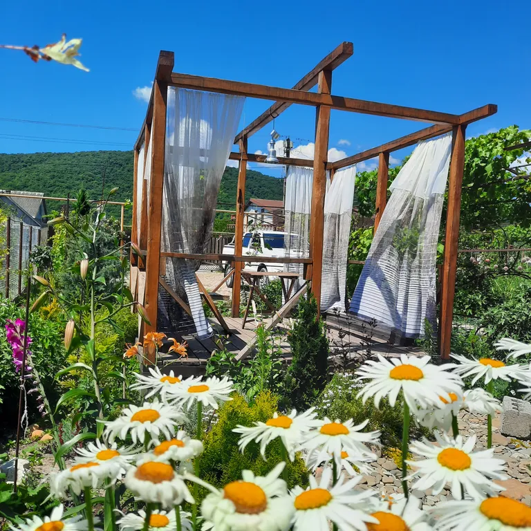 Белый Какаду