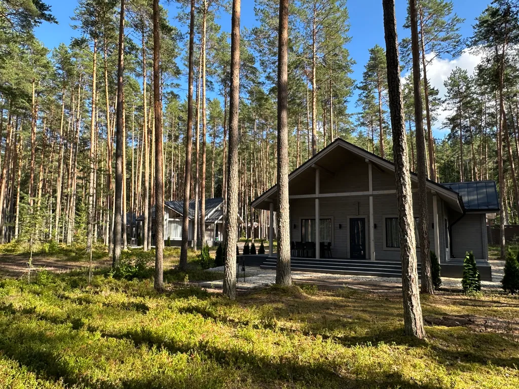 Уютный дом в сосновом бору