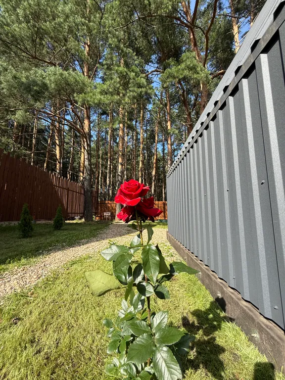 Большой треугольный домик с камином, с ванной у окна с видом на лес