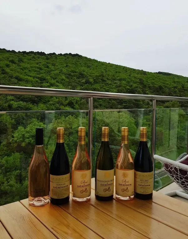 Квартира Квартира с видом на море и заповедный лес — Варваровка