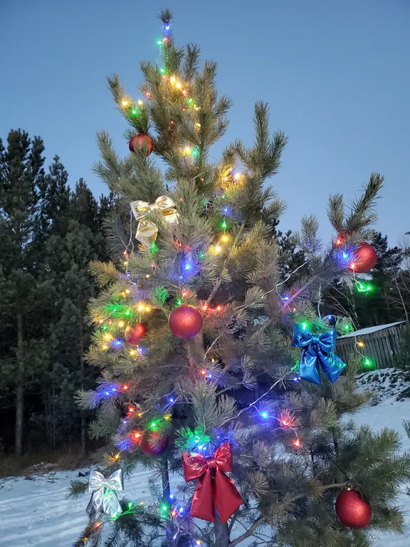 Уютный дом с баней и банным чаном - купелью