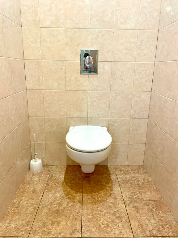 Просторная квартира в центре