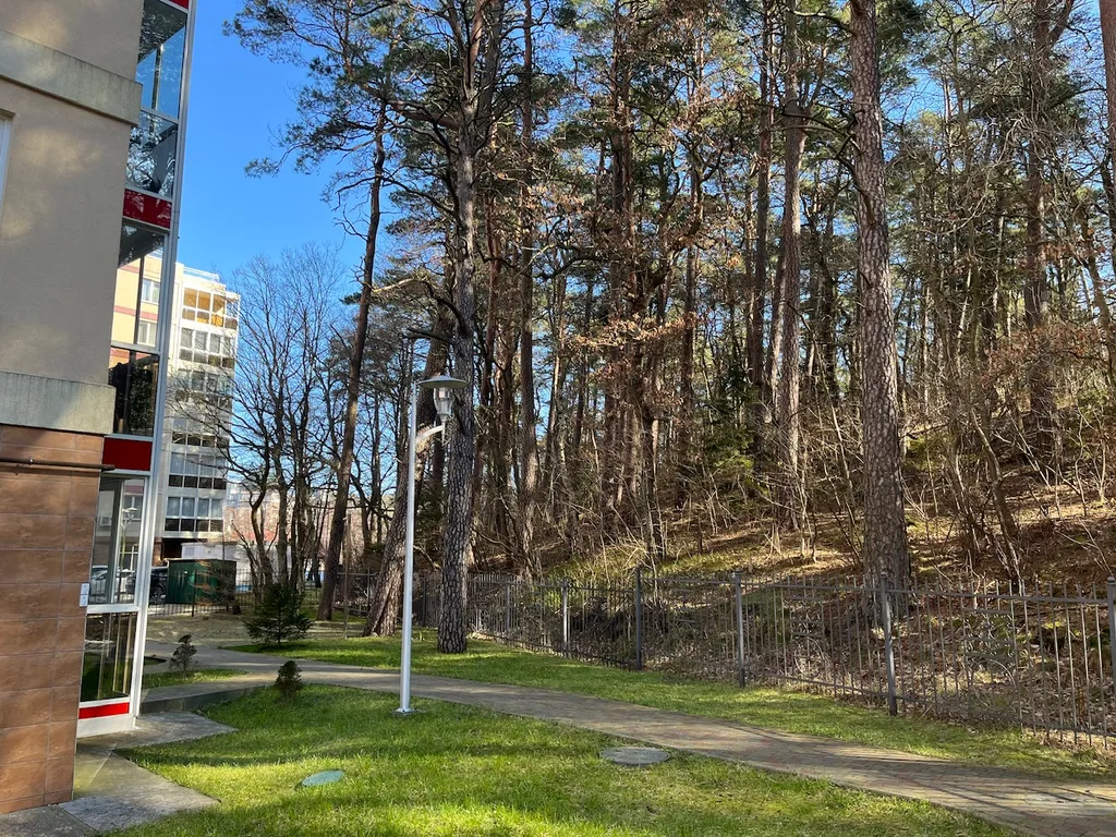 Студия у озера Тихое