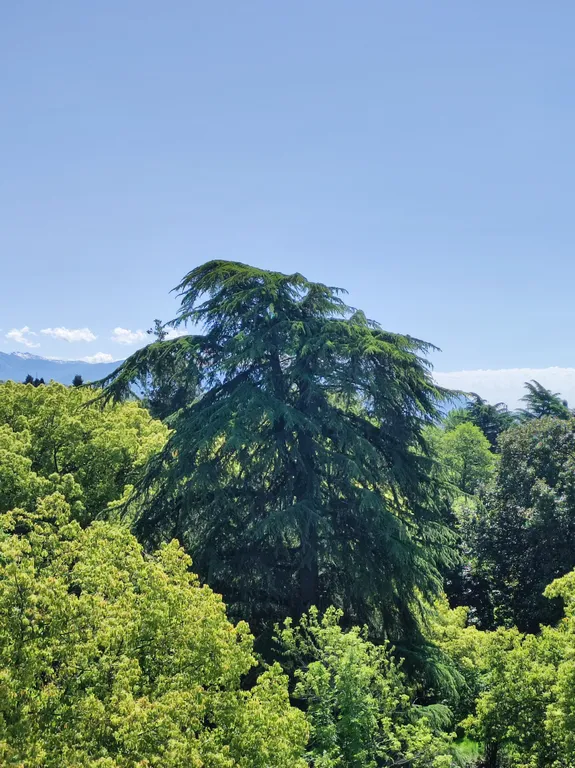 Квартира Квартира Студия в Парке — Сириус