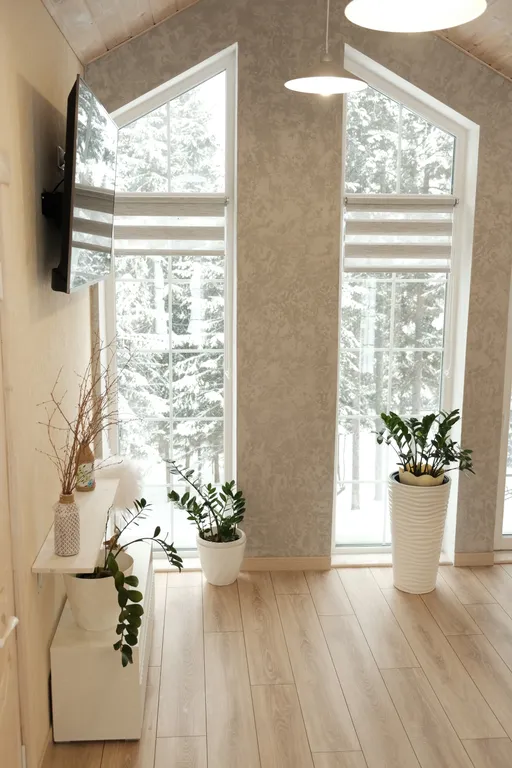 Большой уютный дом с видом на лес