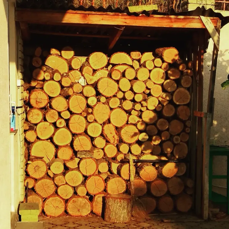 Нескромная вилла