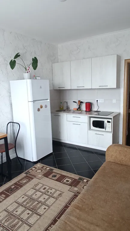 Однушка в центре