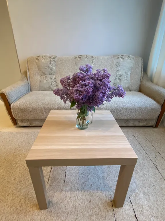 Квартира в центре города