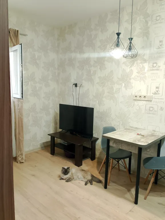 Квартира Квартира Уютная студия для отдыха — Адлер