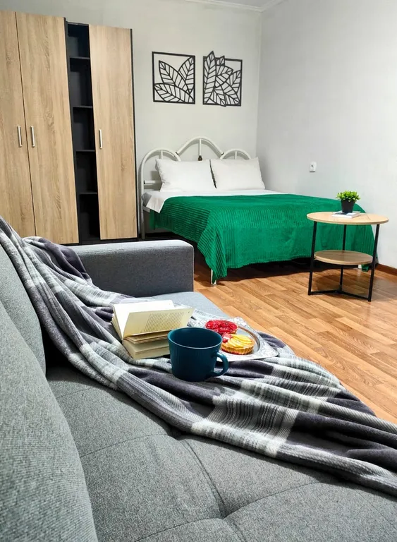 Уютная квартира на Суворовском