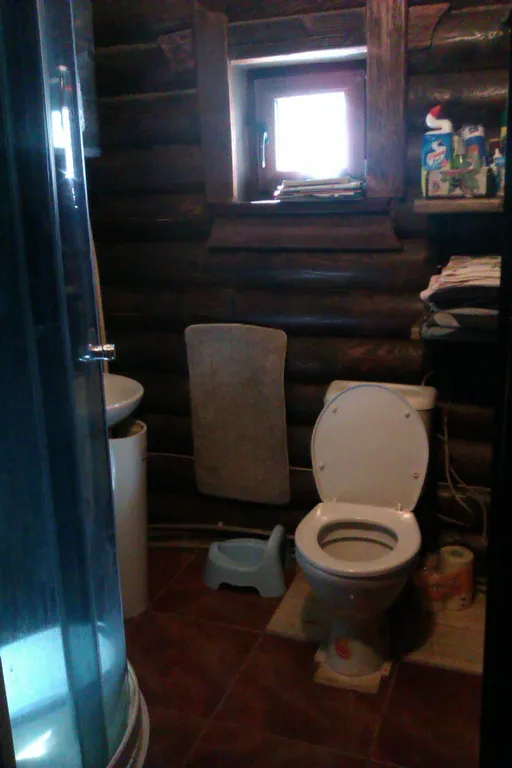 Дом Викинга