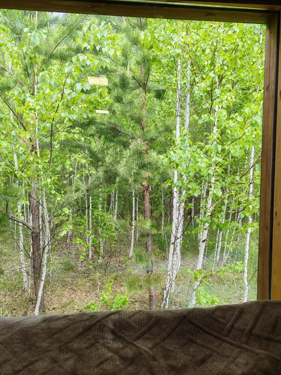 Скандинавский домик с панорамным окном в лесу