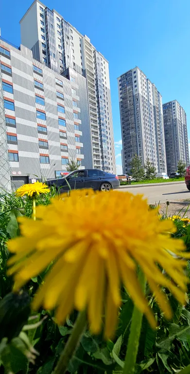 Евро-двушка в ЖК Цивилизация в Невском районе