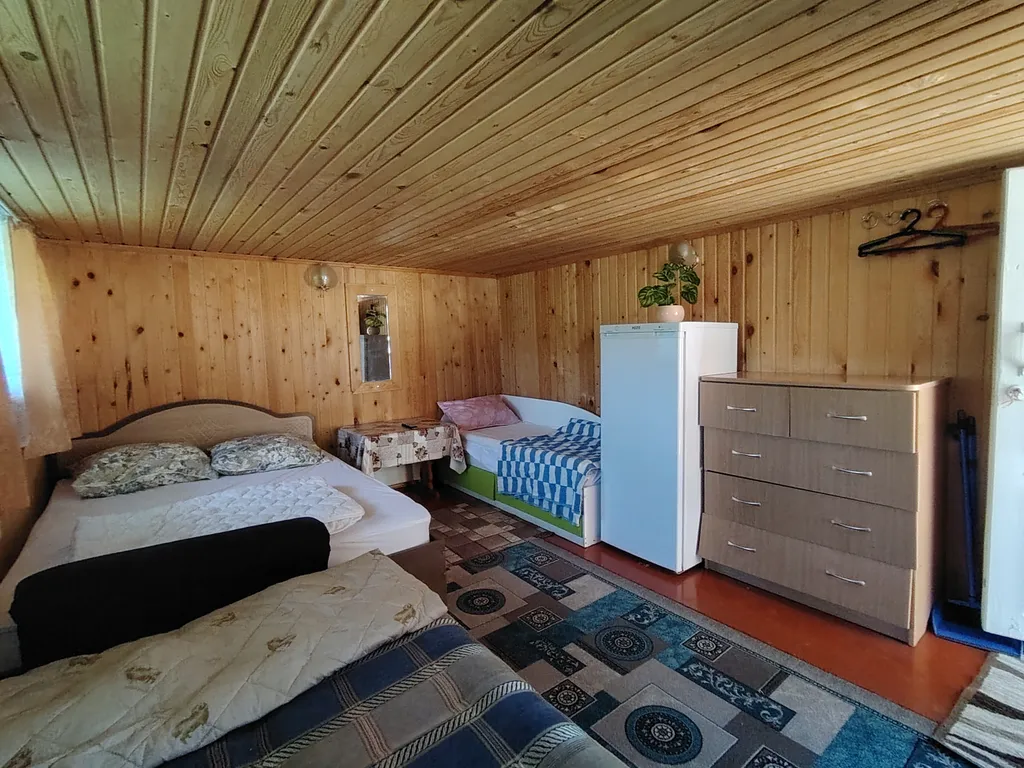 Летний номер с видом на березовый лес