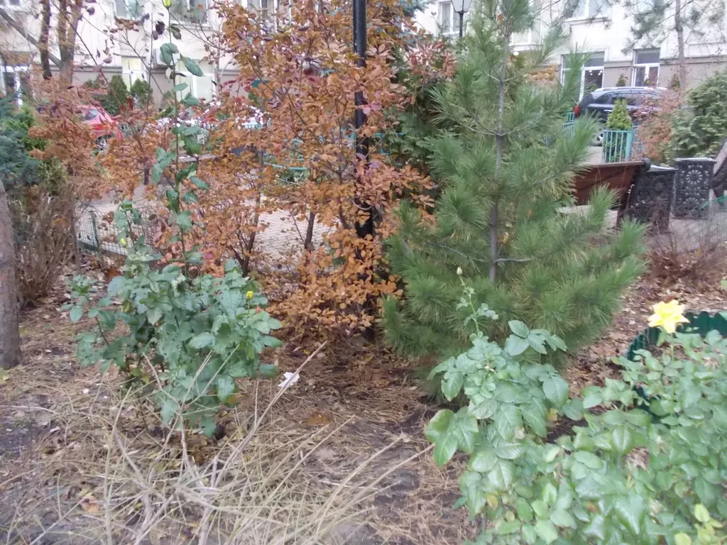 Комната в квартире