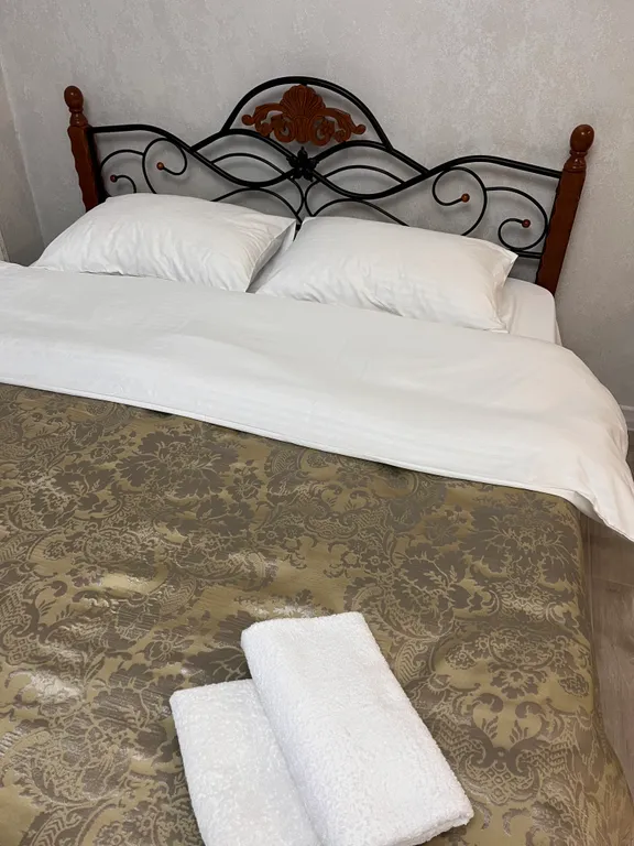 Уютная студия в центре города