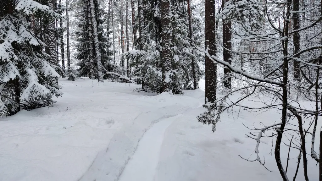 Коттедж Дом с баней, банным чаном, детской площадкой и батутом у озера в сбору — Ланино