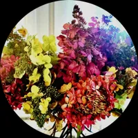 Brest Dream Garden