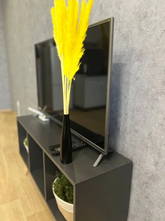 Уютная, комфортабельная квартира студия