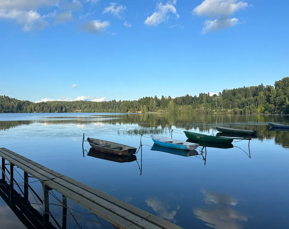 Уютный дом в Токсово