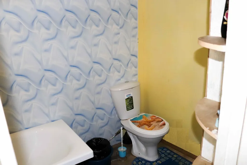 Дом васильки