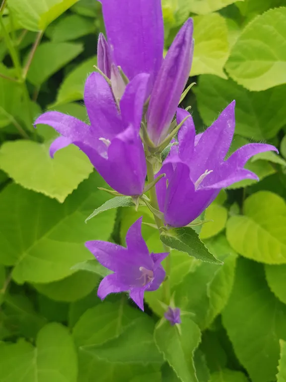 Дом с сауной у озера