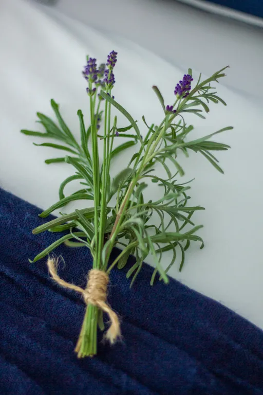 Двухместный номер Lily