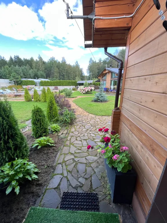 Карпин пруд 2