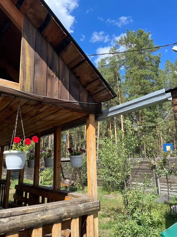 Отдых в Бузулукском бору круглый год с выходом в лес.