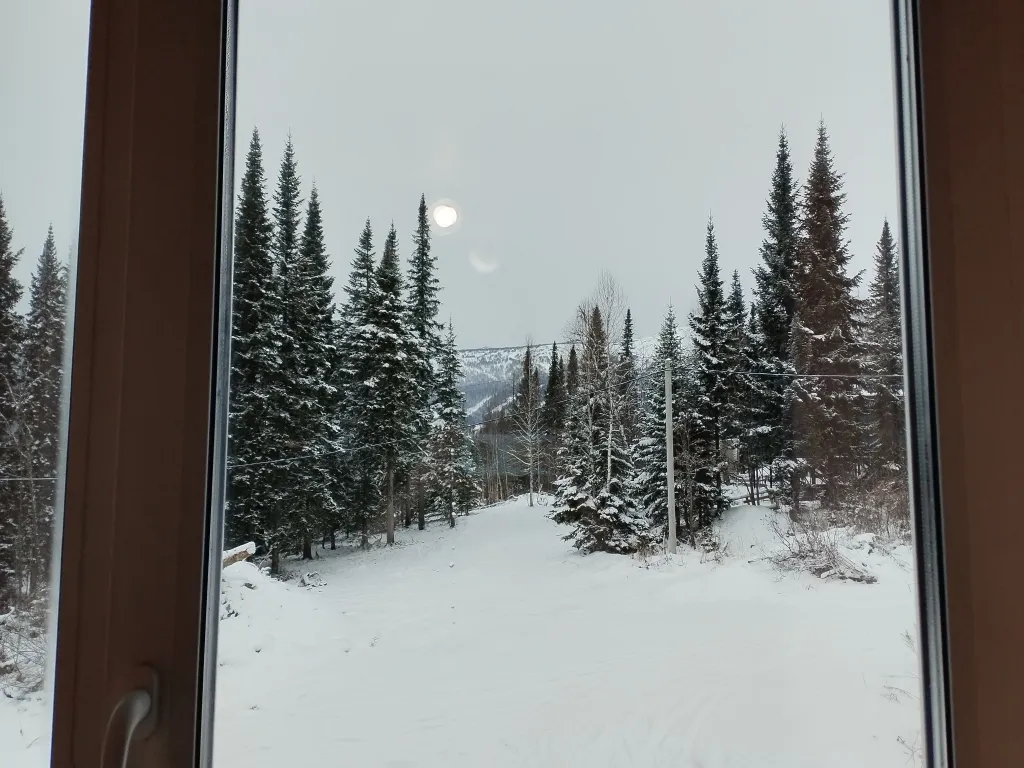 Уютный дом Муравейник