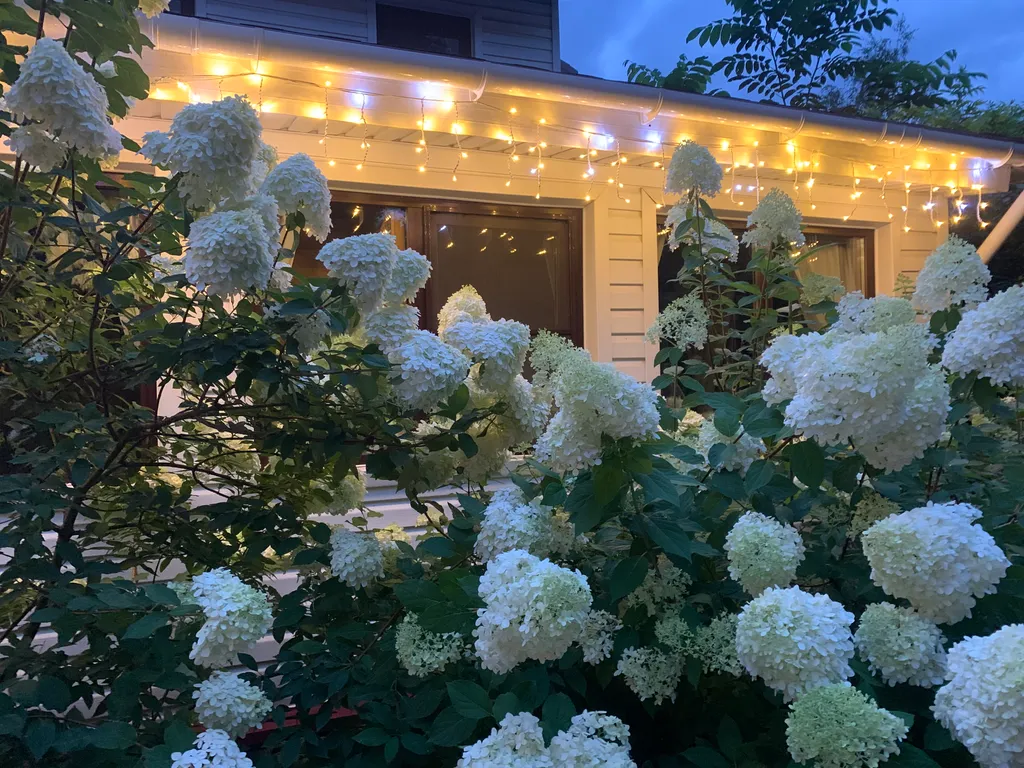 Коттедж Уютный загородный дом в стиле кантри — Борзые