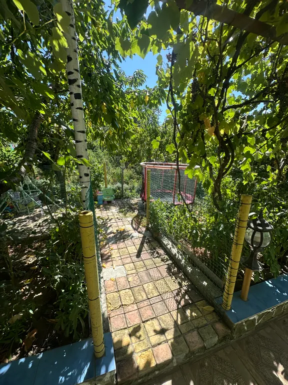 Уютный домик в лесу