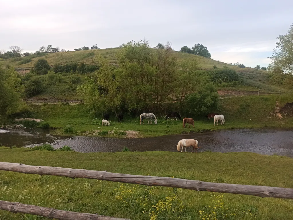 Дом Хвостова на Кудыкиной горе