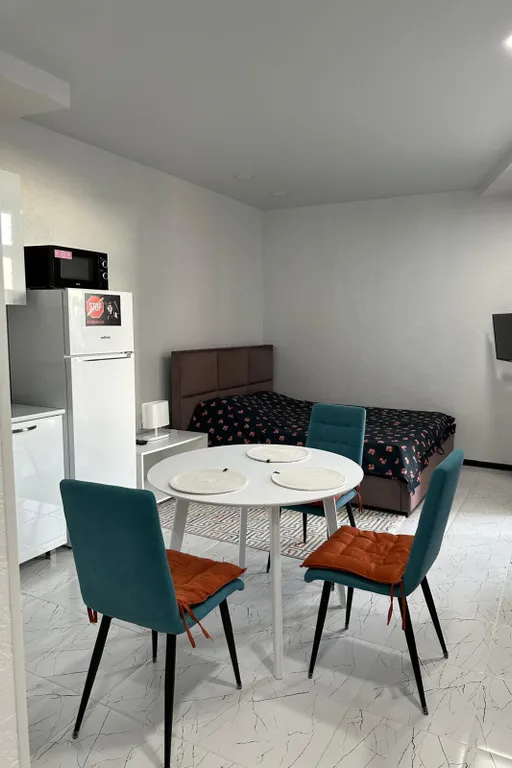 Квартира Уютная студия в центре с видом на горы — аренда посуточно в Батуми