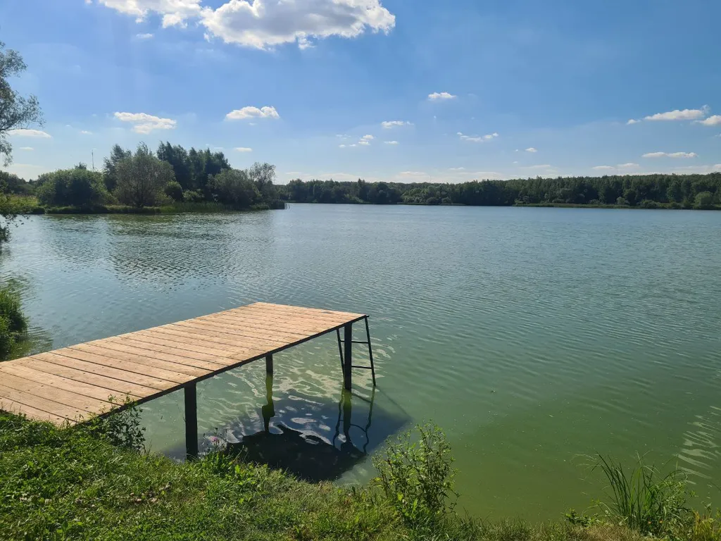 Коттедж Уютный домик на большом участке у озера — Никулино