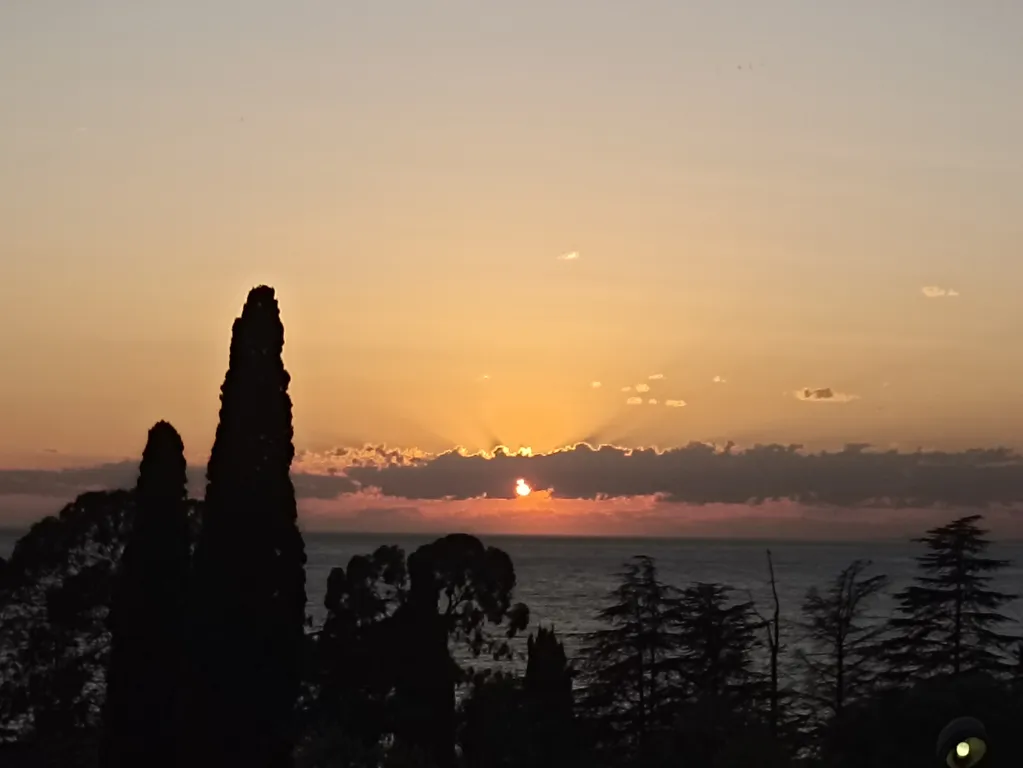 Квартира Комната — Гагра