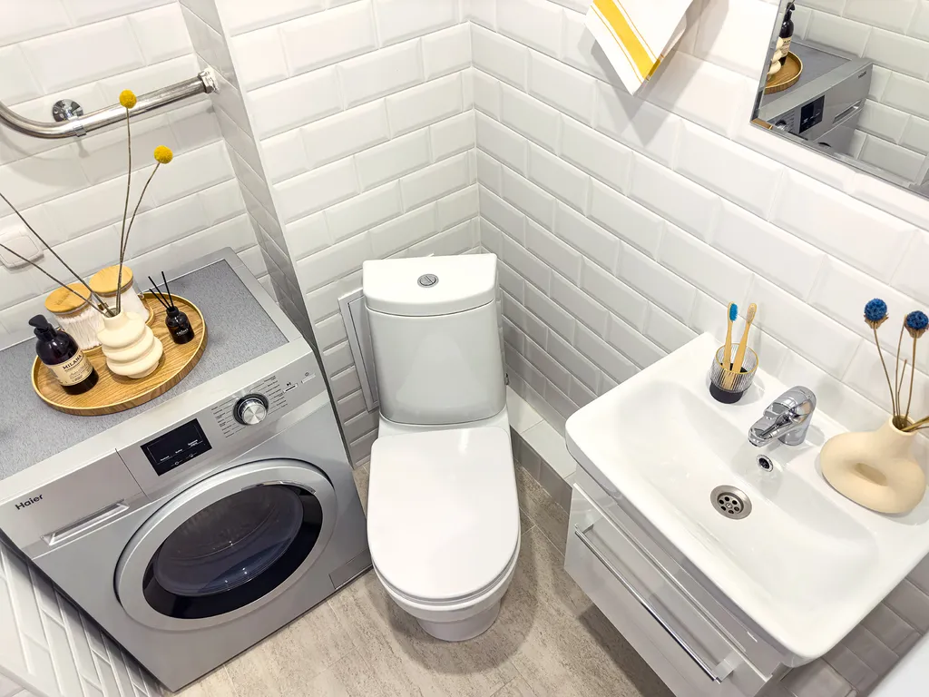 Студия карельский лось с видом на озеро